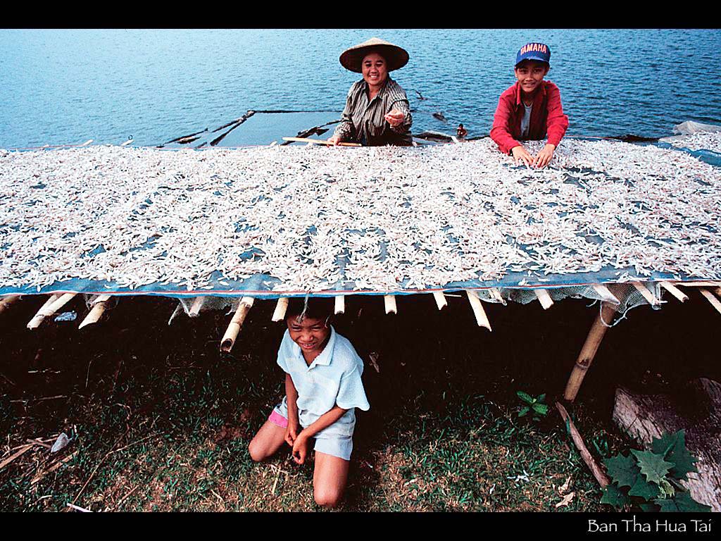 名産の小魚を干す母子　タ・フア・タイ村